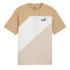 Camiseta Puma POWER Colorblock Prairie Marrón Hombre