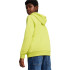 Sudadera Puma Power Graphic Lima Infantil