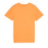 Camiseta Puma Essentials+ 2 Col Naranja Infantil