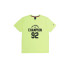 Camiseta Champion Crewneck Hombre Amarillo
