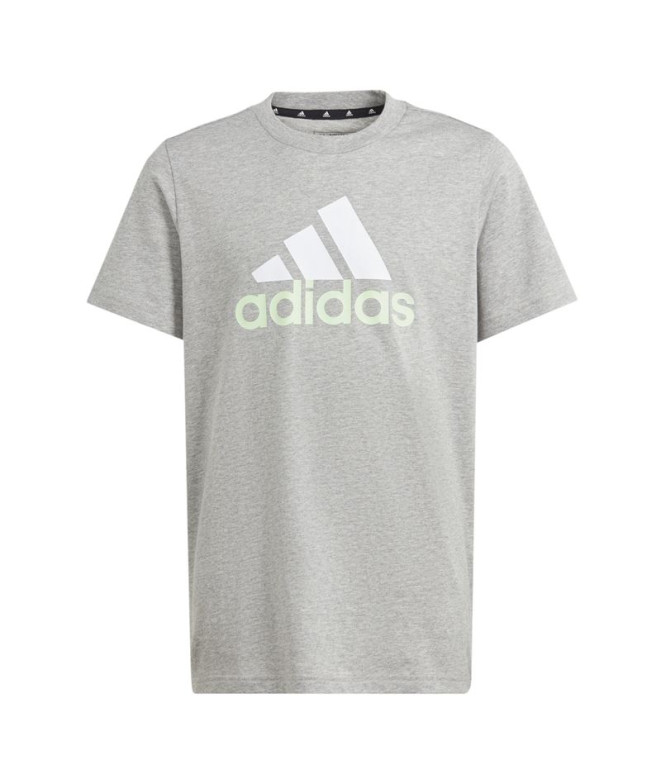 Camiseta adidas Big Logo 2 Infantil Gris
