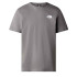 Camiseta de Montaña The North Face S/S Redbox Hombre Gris