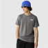 Camiseta de Montaña The North Face S/S Redbox Hombre Gris