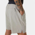 Pantalones de Montaña Helly Hansen Tech Trailrt Hombre Marrón Grisaceo