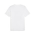 Camiseta Puma GRAPHICS Mountain Blanco Hombre