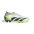 Botas de Fútbol adidas Predator Accuracy.2 Fg