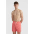 Bañador de playa y piscina O'neill Vert 16'' Coral Hombre