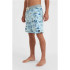 Bañador O'neill Hyperfreak Mysto Scallop 19'' Azul Hombre