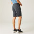 Pantalón de Montaña Regatta Dalry Hombre Seal Gris