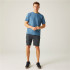 Pantalón de Montaña Regatta Dalry Hombre Seal Gris