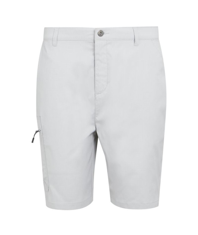 Pantalón de Montaña Regatta Dalry Hombre Silver...