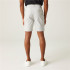 Pantalón de Montaña Regatta Dalry Hombre Silver Gris