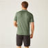 Polo de Montaña Regatta Remex II Hombre Agave Verde