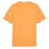 Camiseta Puma Graphics Mountain e Clementine Hombre Naranja