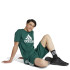 Camiseta adidas Big Logo Hombre Verde