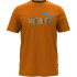 Conjunto Puma Daily 3.0  Hombre Naranja