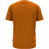 Conjunto Puma Daily 3.0  Hombre Naranja