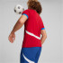 Camiseta de Fútbol Puma Serbia 2024 Hombre Rojo