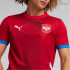 Camiseta de Fútbol Puma Serbia 2024 Hombre Rojo
