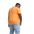Camiseta Puma Essentials+ 2 Col Logo Naranja Hombre