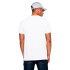 Camiseta New Era Miami Dolphins NFL Regular Hombre Blanco