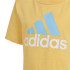 Conjunto adidas Essentials Logo Infantil Amarillo