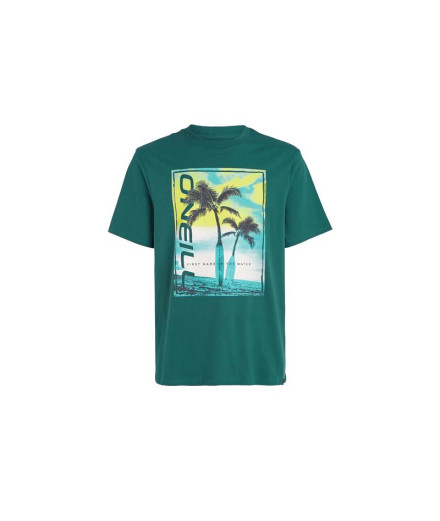Camiseta O'Neill Jack Neon Living Verde Hombre