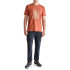 Camiseta Astore Levi Naranja Tostado Hombre