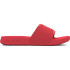 Chanclas de Natación Under Armour Ignite Select Mujer Rojo