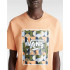 Camiseta Vans Classic Print Box Coral  Hombre