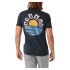 Camiseta O'Neill O'riginals Sun Gris Hombre