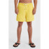 Bañador de playa y piscina O'Neill Vert 16'' Amarillo Hombre