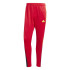 Pantalones adidas Tiro Nations Pack Hombre Rojo
