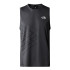 Camiseta de Montaña The North Face Ma Tank Graphic Hombre Gris