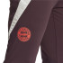 Pantalón de Fútbol adidas Fc Bayern 24/25 Tiro24 Training Hombre Marrón