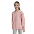 Sudadera adidas All Szn Graphics Infantil Rosa