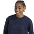 Sudadera adidas All Szn Graphics Infantil Azul