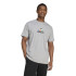 Camiseta adidas House Of Tiro Nations Graphic Hombre Gris