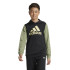 Sudadera adidas Essentials Big Logo Colorblock Hoodie Infantil Negro