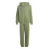 Chándal adidas All Szn Graphics Infantil Verde