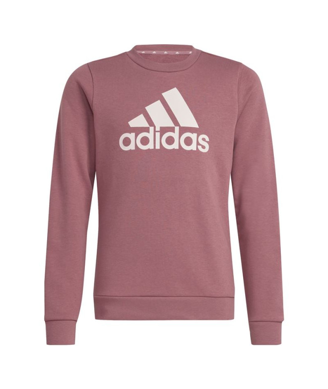 Sudadera adidas Essentials Big Logo Cotton Niña...