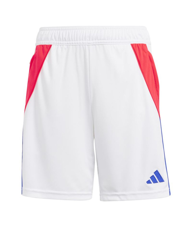 Pantalones de Fútbol adidas Tiro24 Training...