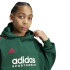 Sudadera adidas Tiro Nations Pack Infantil Verde