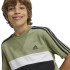 Camiseta adidas Tiberio 3 Bandas Colorblock Infantil Verde