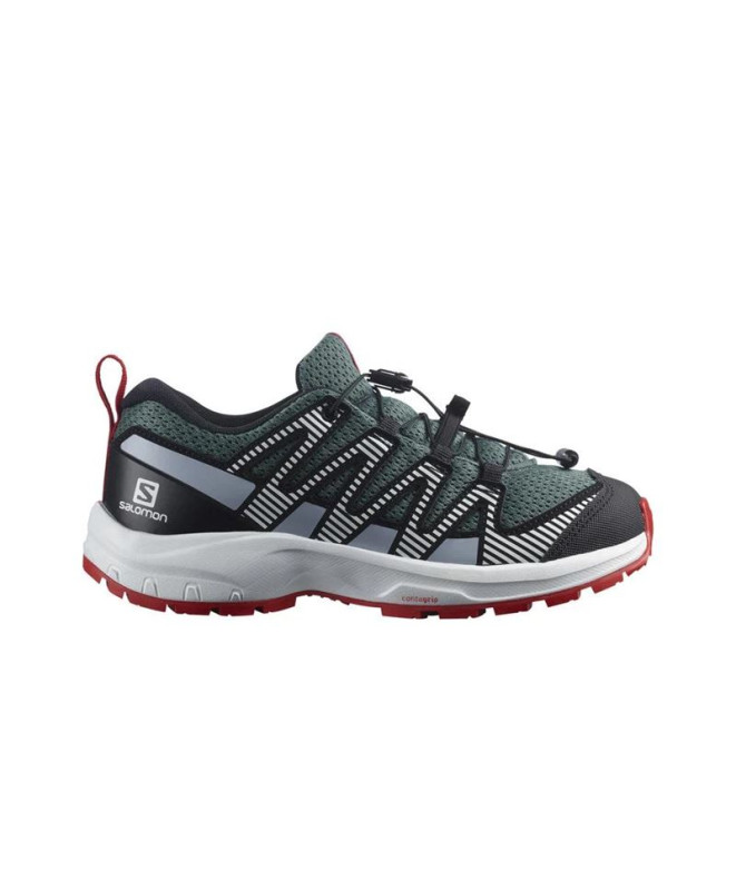 Zapatillas de Montaña Salomon XA Pro V8...