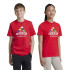 Camiseta adidas Tiro Nations Pack Graphic Infantil Rojo