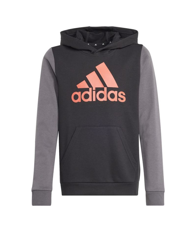 Sudadera adidas Essentials Big Logo Colorblock...