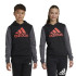 Sudadera adidas Essentials Big Logo Colorblock Infantil Negro
