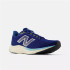 Zapatillas New Balance Fresh Foam Arishi v4 Azul