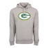 Sudadera New Era NFL Regular Green Bay Packers Gris Hombre